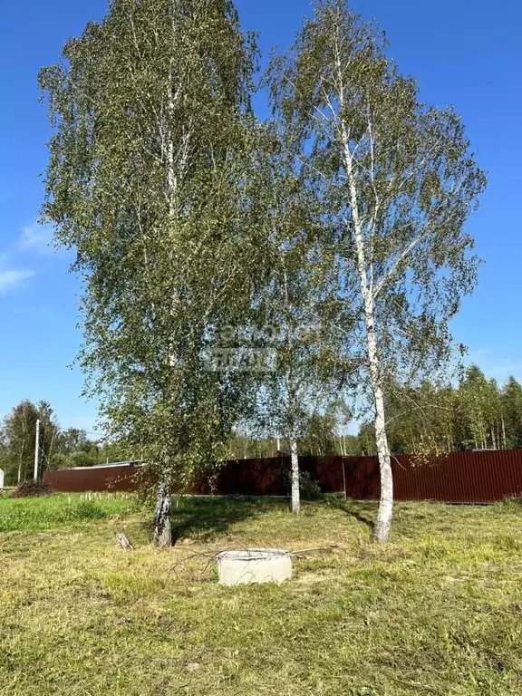 Участок в Московская область, Куровское Орехово-Зуевский городской ... - Фото 1