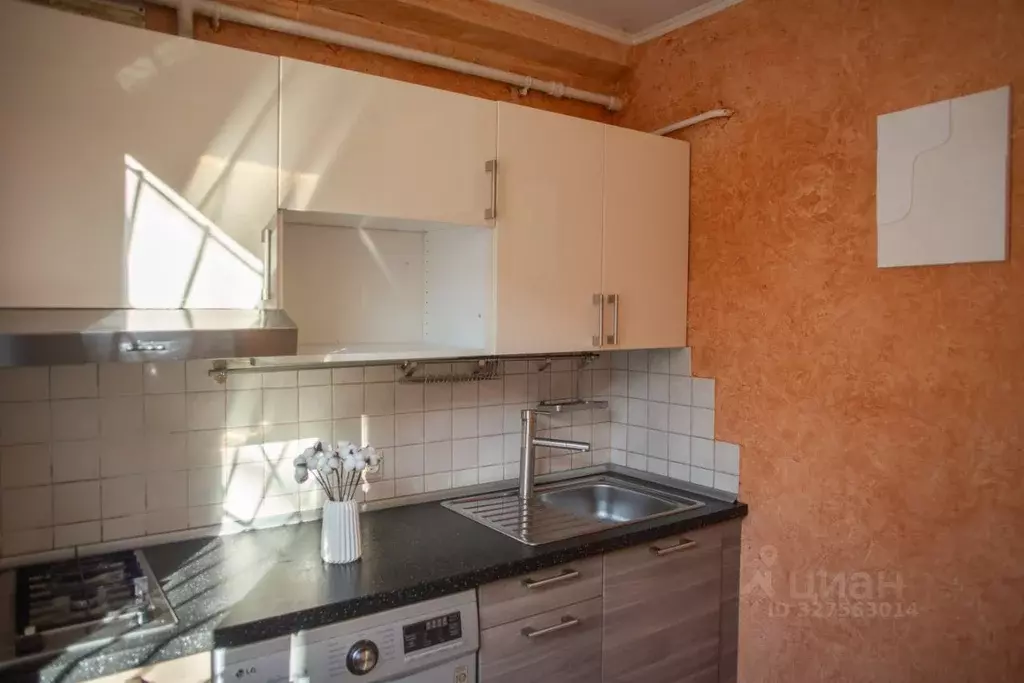 1-к кв. Санкт-Петербург Дачный просп., 25К4 (27.7 м) - Фото 2