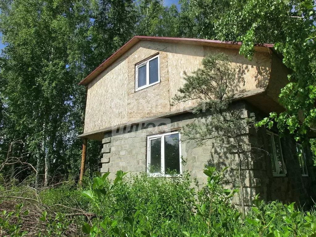 Дом в Омская область, Омск СОСН Нефтехимик тер., 751 (69 м) - Фото 1