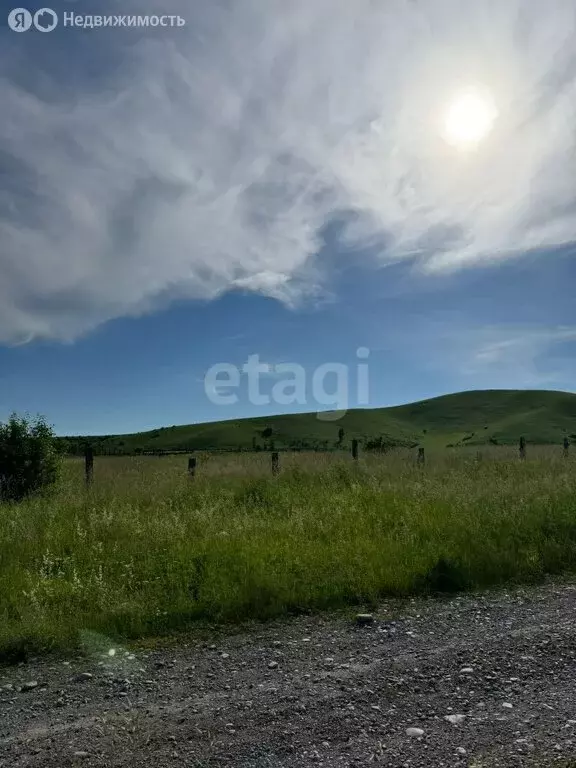 Участок в Майминский район, село Подгорное (103.7 м) - Фото 0