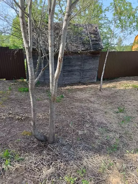 Участок в Московская область, Волоколамский муниципальный округ, ... - Фото 2