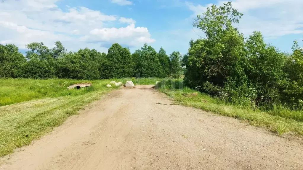Участок в Костромская область, Кострома пос. Волжский,  (7.6 сот.) - Фото 1