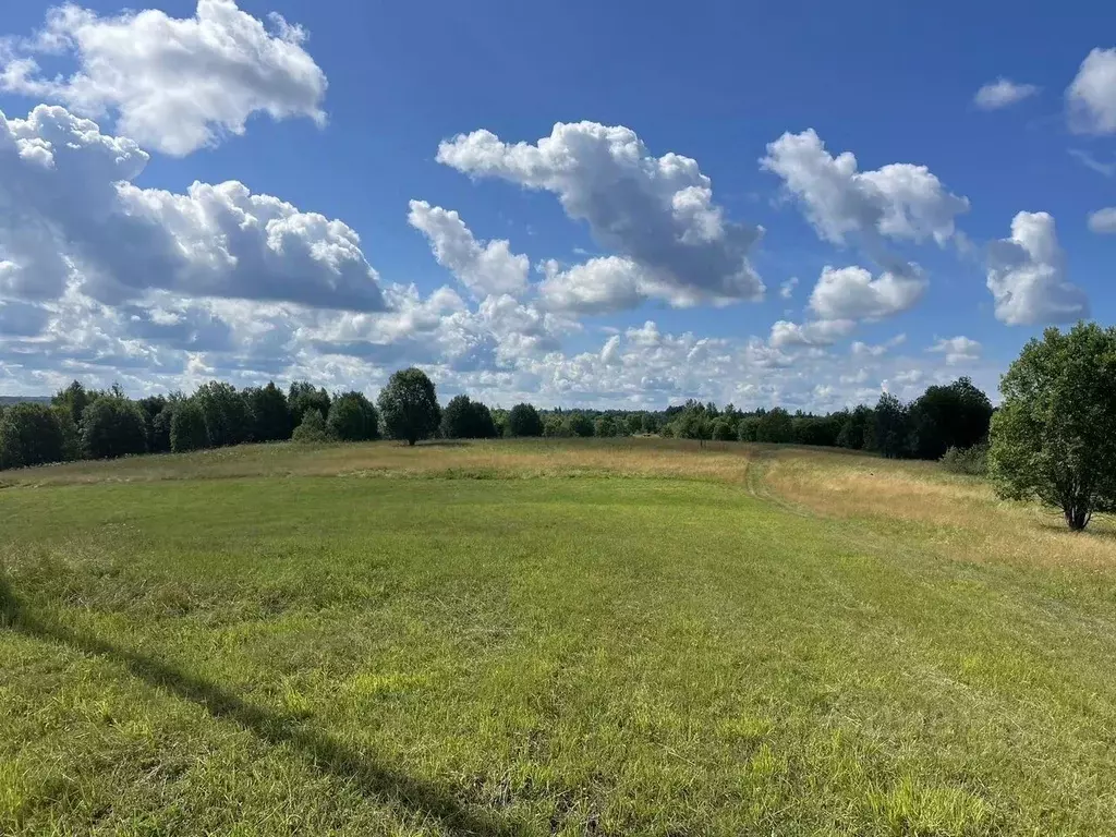 Участок в Новгородская область, Окуловский район, Турбинное с/пос, д. ... - Фото 2