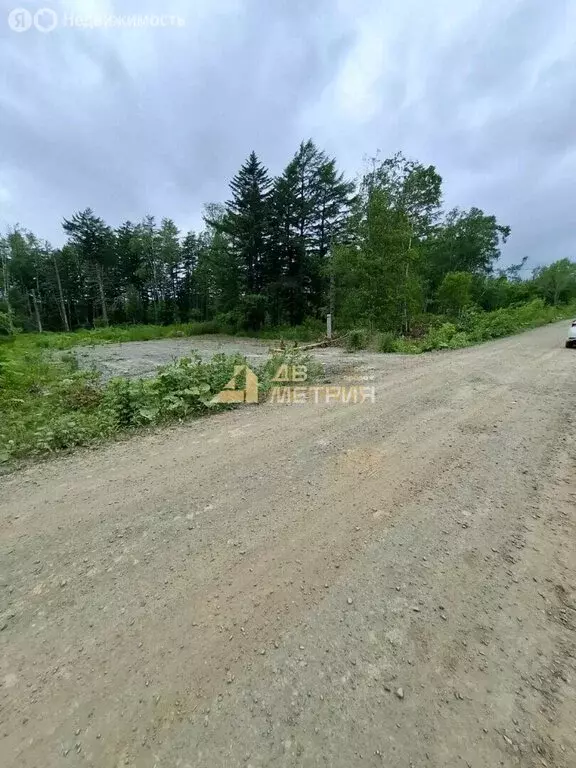 Участок в Сахалинская область, Долинск (10 м) - Фото 2