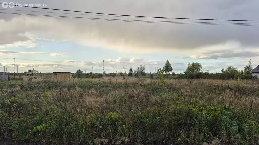 Участок в Ялуторовск, улица Балакшина (6 м) - Фото 0