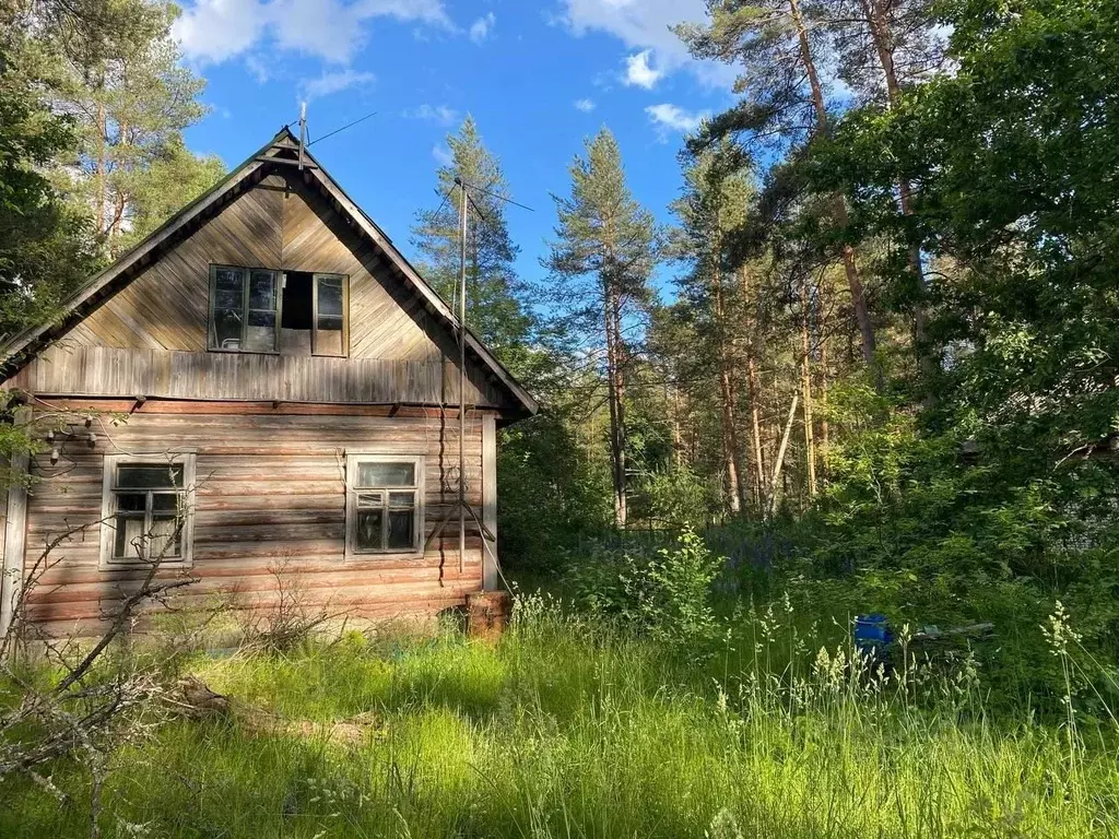 Участок в Ленинградская область, Выборгский район, Красносельское ... - Фото 1