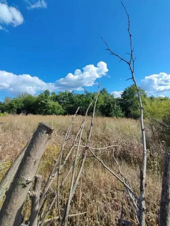 Участок в Белгородская область, Белгородский район, Северный городское ... - Фото 2