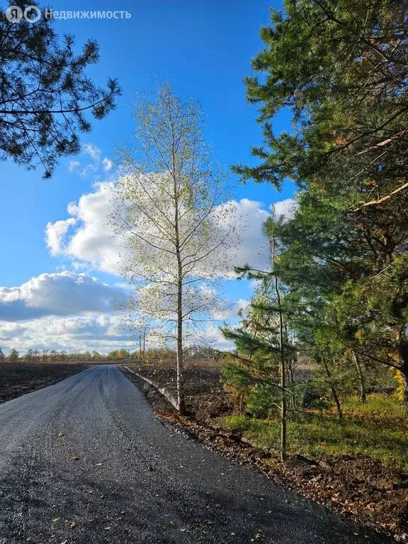 Участок в Пушкино, микрорайон Заветы Ильича, улица Красина (6.2 м) - Фото 2