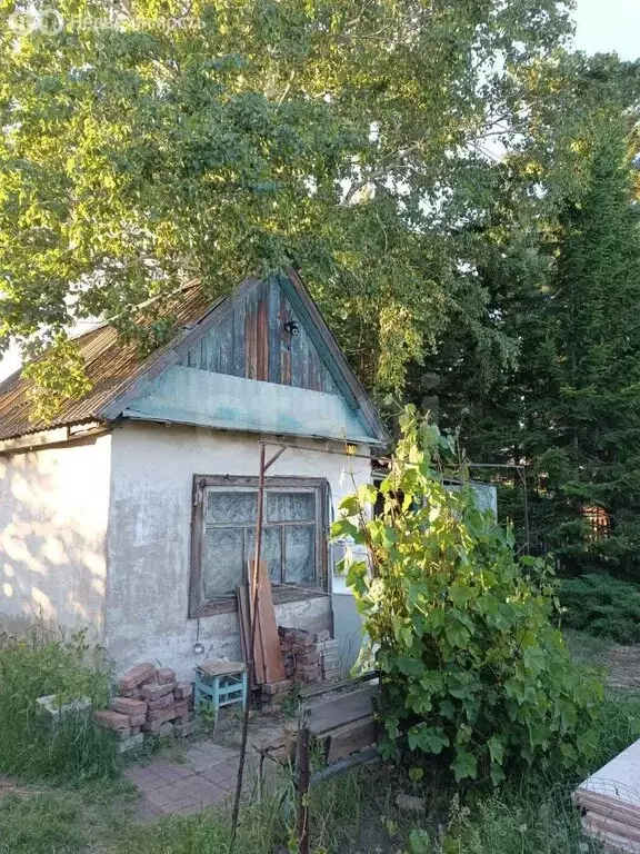 Участок в Омск, территория СОСН Берёзка, 11-я аллея (6.1 м) - Фото 2