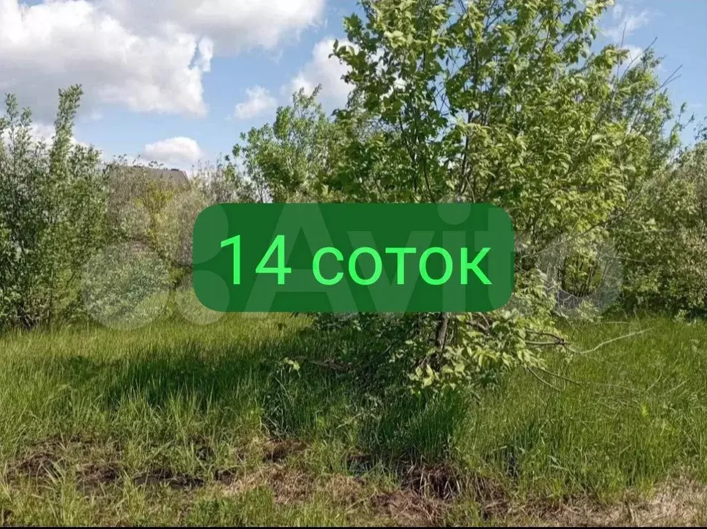Участок 14 сот. (ИЖС) - Фото 0