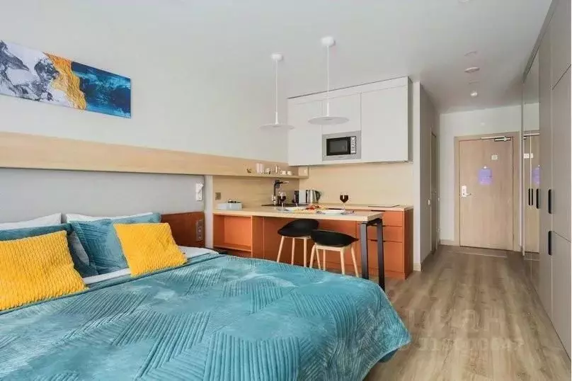 1-к кв. Санкт-Петербург бул. Измайловский, 1к2 (26.0 м) - Фото 1