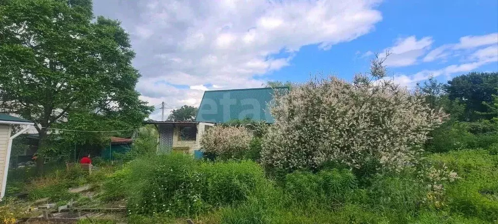 Дом в Приморский край, Надеждинский район, Черемушки-1 СНТ 44 (49 м) - Фото 1