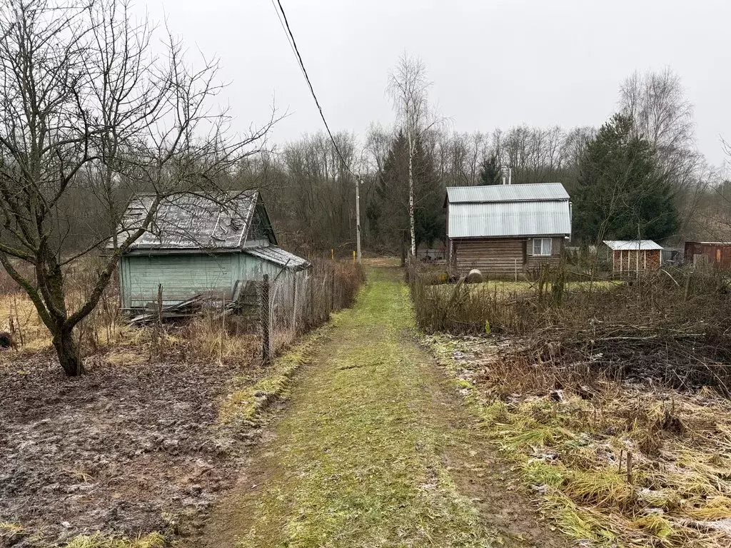Участок в деревня Следнево, квартал Октябрьский (8.2 м) - Фото 1