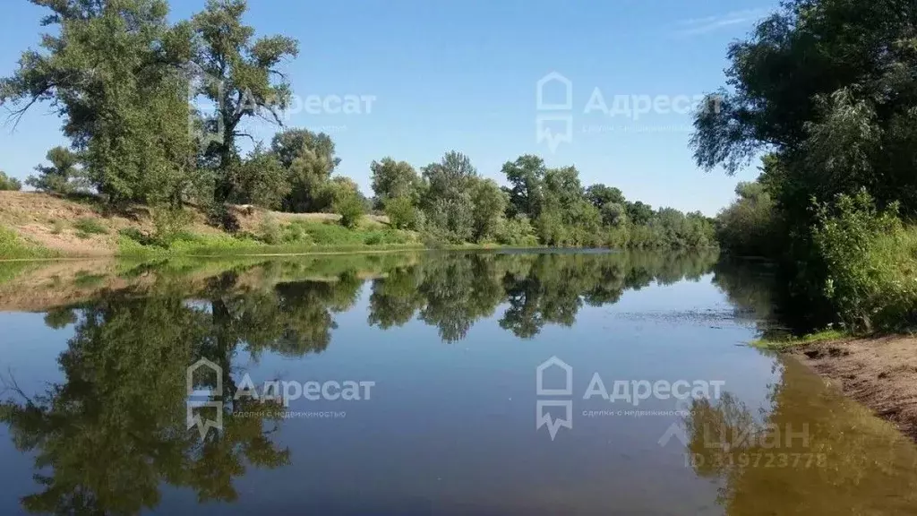 Участок в Волгоградская область, Среднеахтубинский район, ... - Фото 1