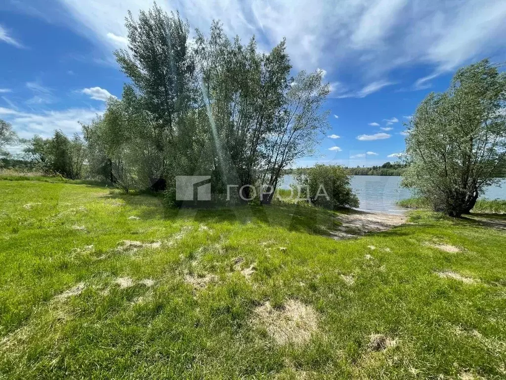 Участок 79 сот. (СНТ, ДНП) - Фото 1