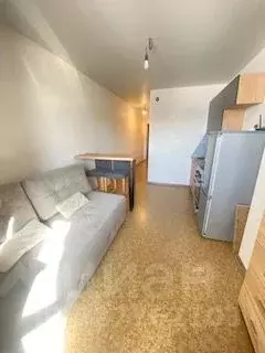 Студия Красноярский край, Красноярск ул. Калинина, 175Б (22.0 м) - Фото 2