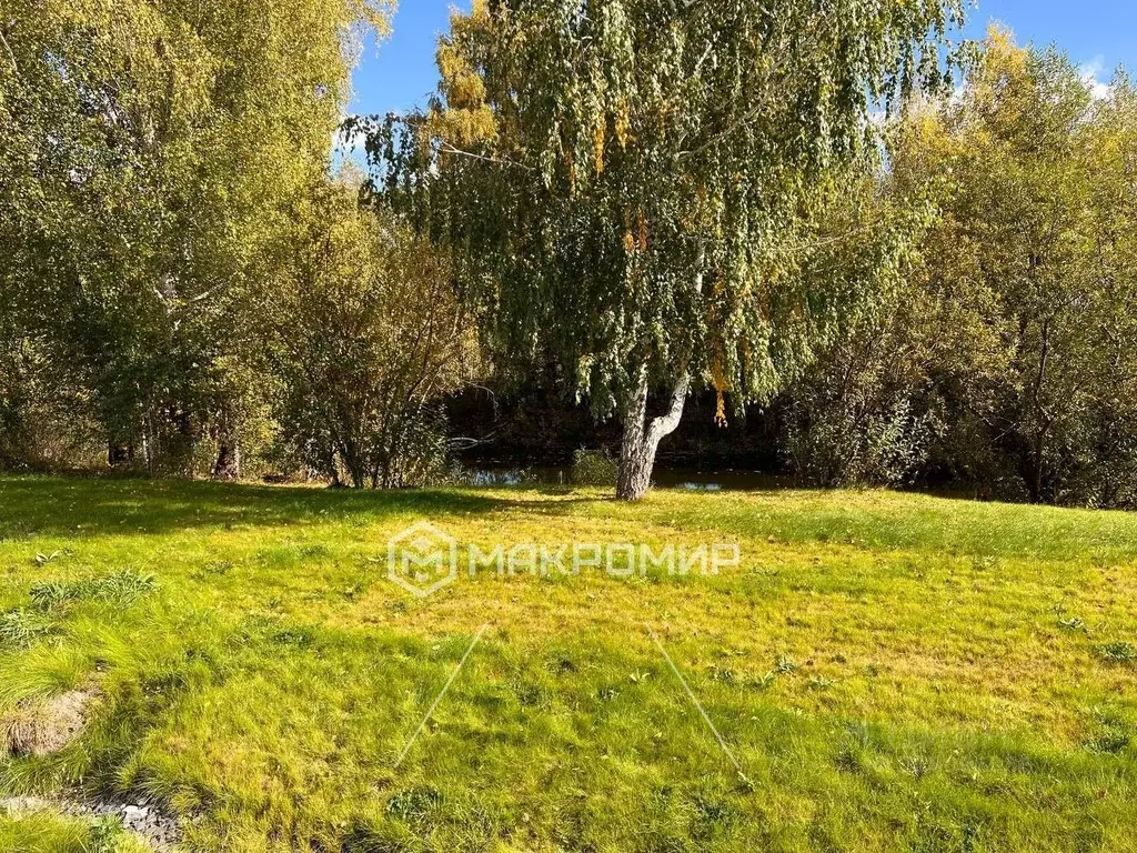 Участок в Новосибирская область, Новосибирский район, Раздольненский ... - Фото 1