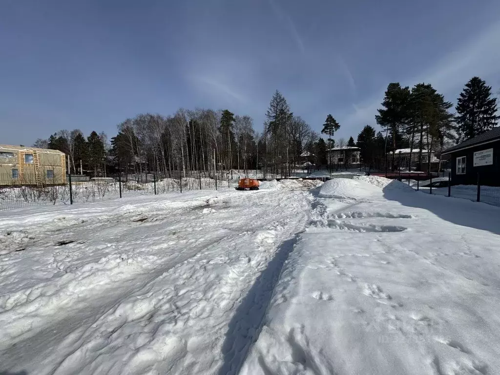 Участок в Московская область, Пушкино Моспроекта мкр, Кооперативная ... - Фото 1
