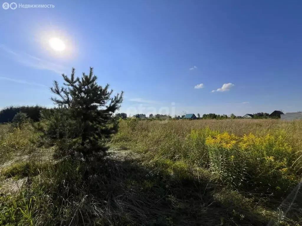 Участок в Матвеевский район, Тимошкинский сельсовет (12 м) - Фото 0