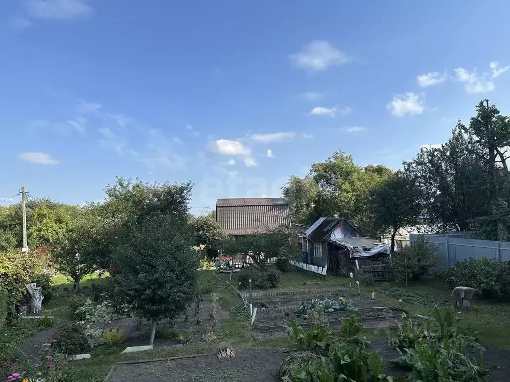 Участок в Брянская область, Брянск Родина садоводческое объединение,  ... - Фото 1