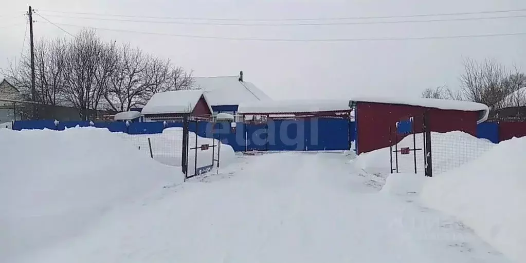 Дом в Мордовия, Дубенский район, с. Поводимово Рабочая ул., 94 (68 м) - Фото 1