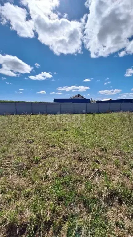 Участок в Московская область, Домодедово Новое Судаково кп, 151 (6.4 ... - Фото 2