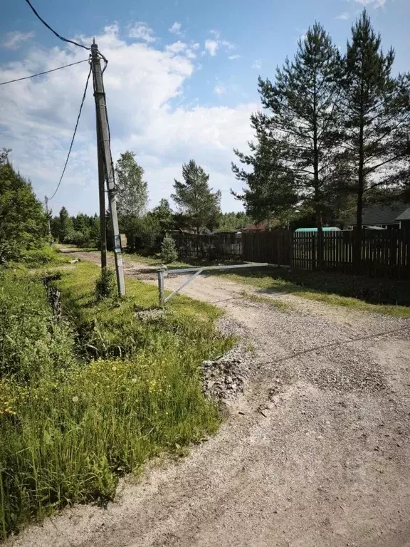 Участок в Ленинградская область, Тосненский район, Рябовское городское ... - Фото 2