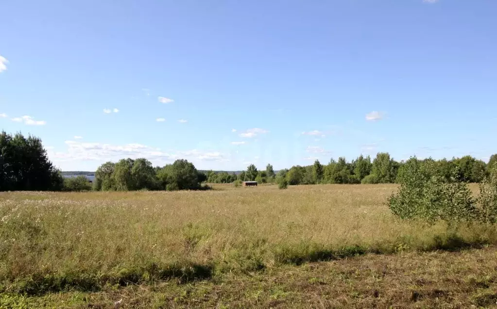 Участок в Вологодская область, Шекснинский муниципальный округ, д. ... - Фото 1