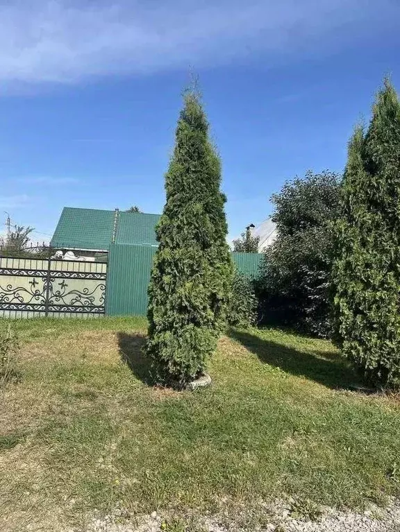 Дом в Брянская область, Карачев Алексеевская ул., 63 (123 м) - Фото 0