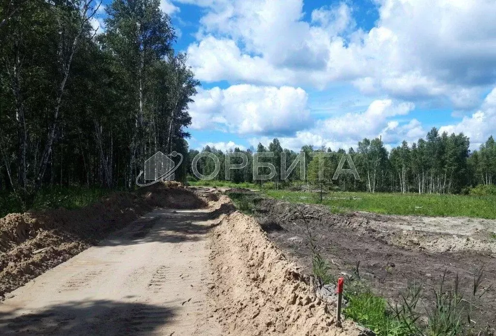 Участок в Тюменская область, Нижнетавдинский район, Сундукуль СНТ  ... - Фото 2