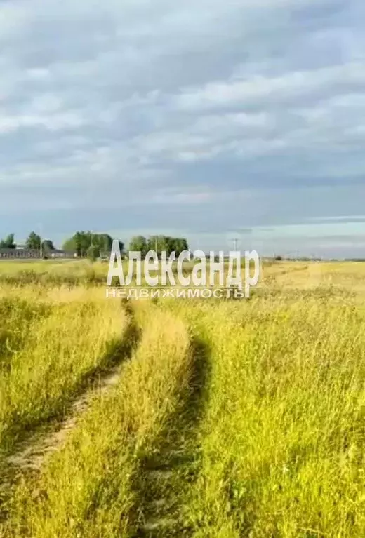 Участок 240 га (личное подсобное хозяйство (лпх)) - Фото 0
