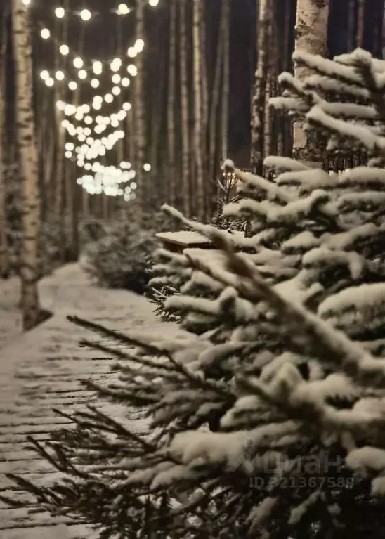 Дом в Московская область, Ступино городской округ, Шелково Форест кп  ... - Фото 2