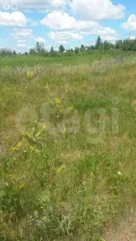 Участок в Липецкая область, Добровский муниципальный округ, село ... - Фото 2