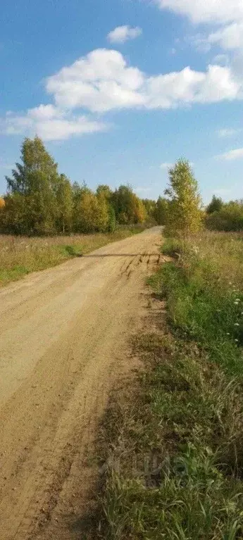 Участок в Свердловская область, Невьянский городской округ, с. Шурала ... - Фото 0