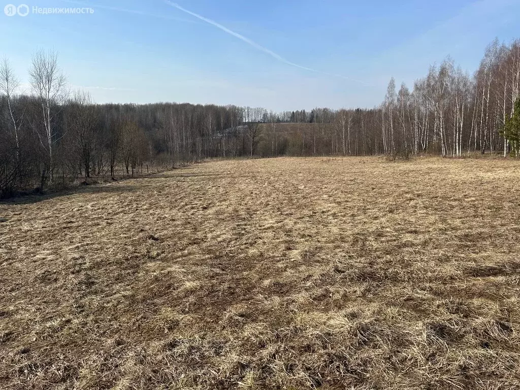 Участок в Александровский район, муниципальное образование Каринское, ... - Фото 0