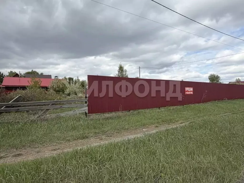 Участок в Новосибирская область, Ордынское рп ул. Сосновая (6.0 сот.) - Фото 2