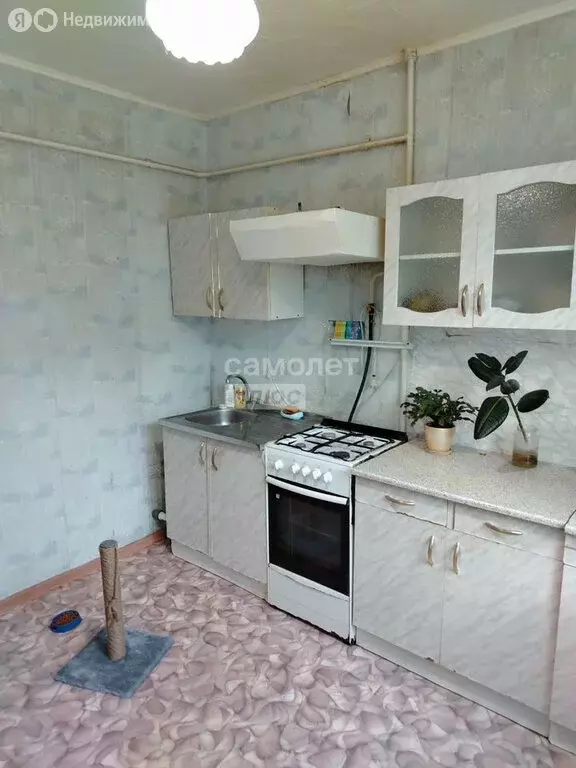 2-комнатная квартира: Миасс, Донская улица, 13 (52.9 м) - Фото 1