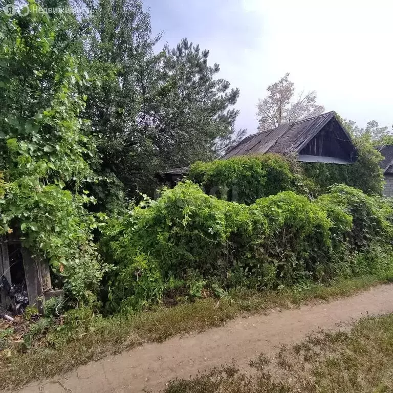 Участок в Саратов, СНТ Волжанка (6.46 м) - Фото 0