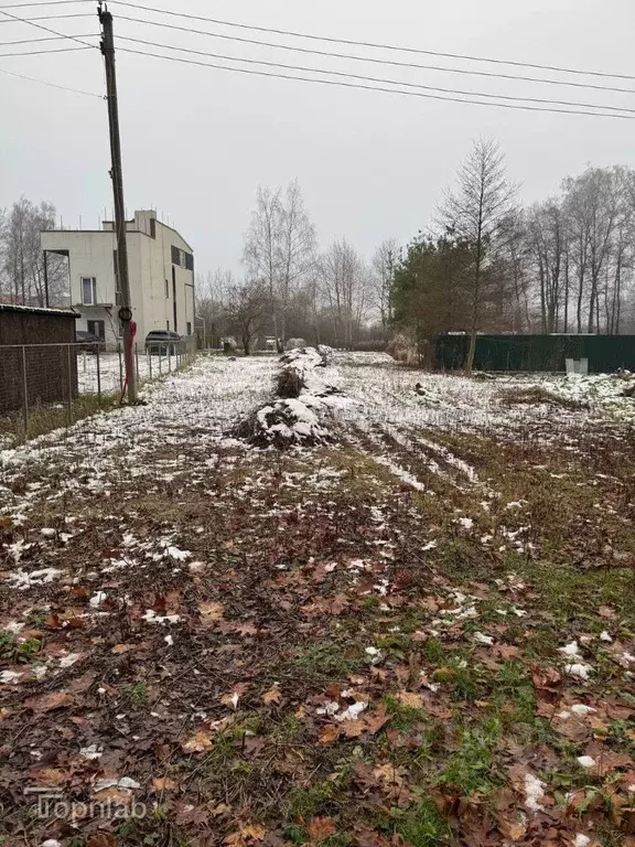 Участок в Калининградская область, Калининград Дивное СНТ, ул. Лесная, ... - Фото 2