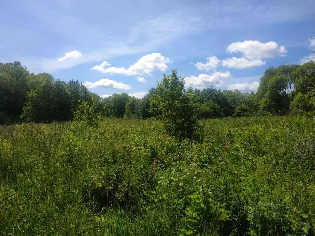 Участок в Калужская область, Тарусский район, Вознесенье с/пос, д. ... - Фото 1