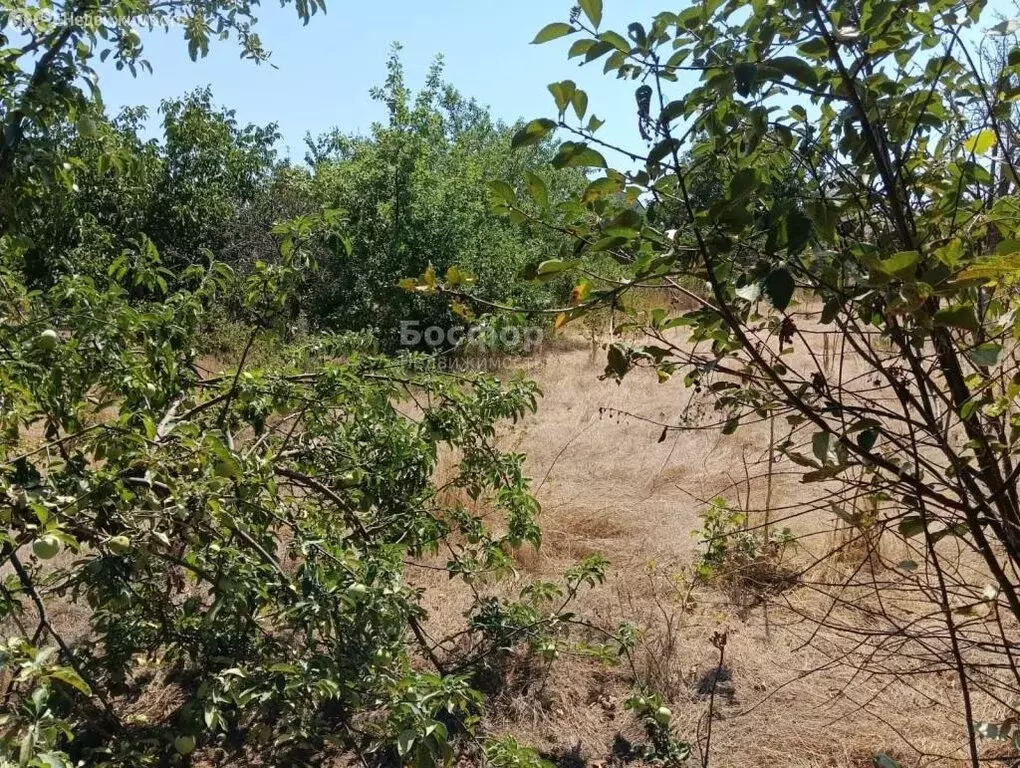 Дом в Владиславовка, Курская улица, 30 (60 м) - Фото 1