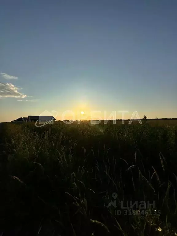 Участок в Тюменская область, Тюмень Большое Царево-1 СНТ,  (10.0 сот.) - Фото 1