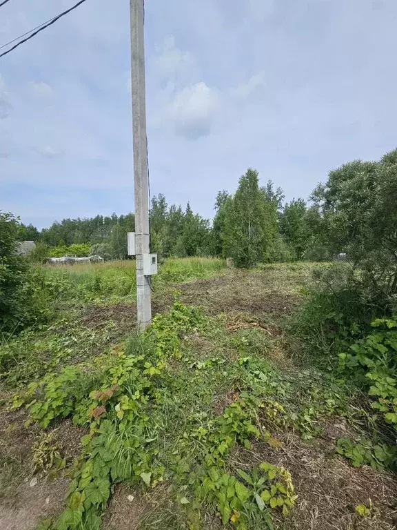 Участок 10 сот. (ИЖС) - Фото 1