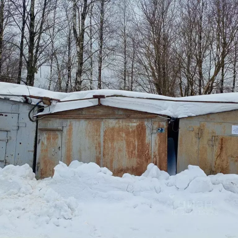 Гараж в Вологодская область, Череповец Красная ул., 8 (19 м) - Фото 2