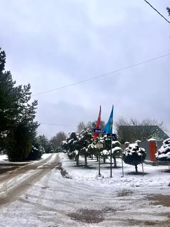 Участок в Московская область, Наро-Фоминский городской округ, д. Новая ... - Фото 0