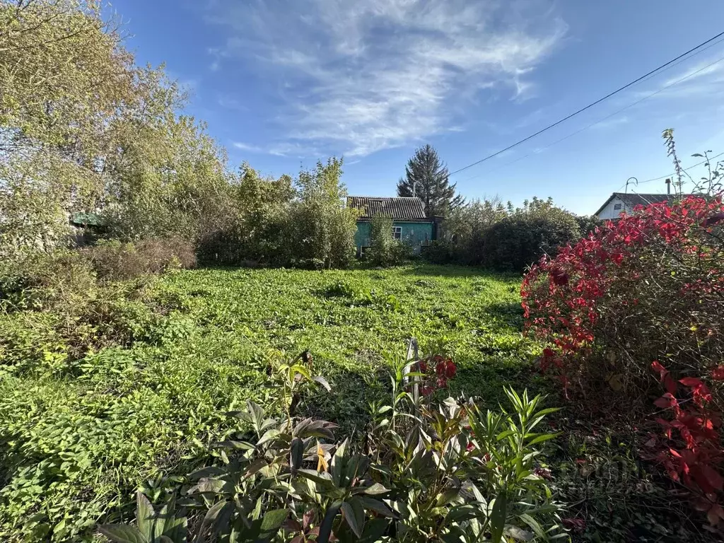 Участок в Омская область, Омск СОСН Амурский тер., аллея 11-я (5.0 ... - Фото 2