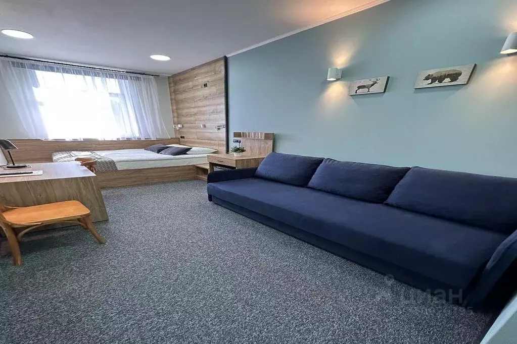 Комната Псковская область, Печоры Псковское ш., 10 (25.0 м) - Фото 2