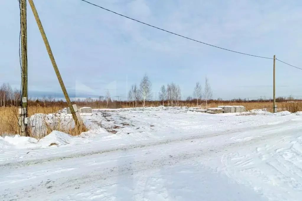 Участок в Тюменская область, Тюмень Матрешка СНТ, ул. Елисеевская ... - Фото 1