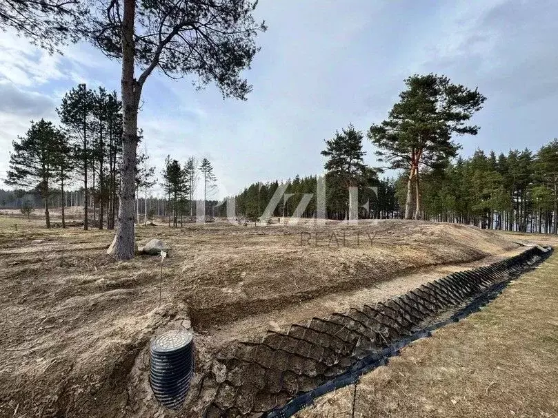 Участок в Ленинградская область, Приозерский район, Громовское с/пос, ... - Фото 1