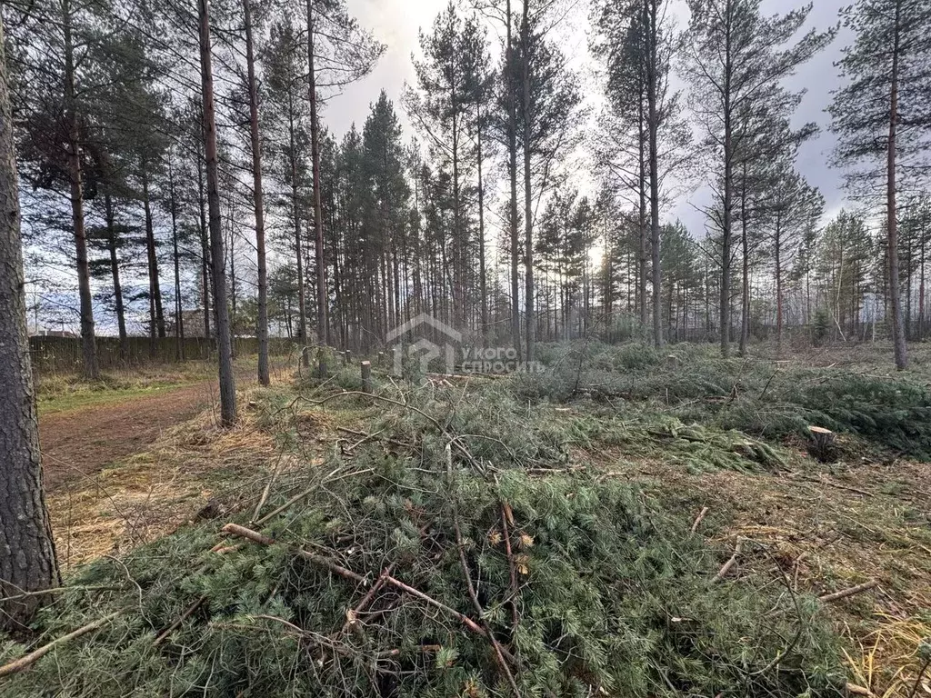 Участок в Ленинградская область, Кировский район, пос. Мга  (6.2 сот.) - Фото 1